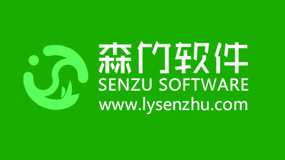 選擇森竹軟件服務(wù)，開(kāi)發(fā)少走很多彎路！